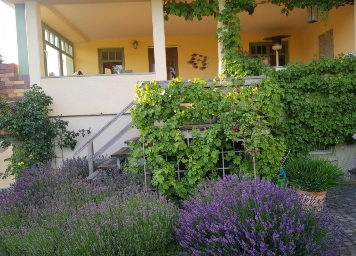 Ferienhaus Schiller Waren  Exterior foto